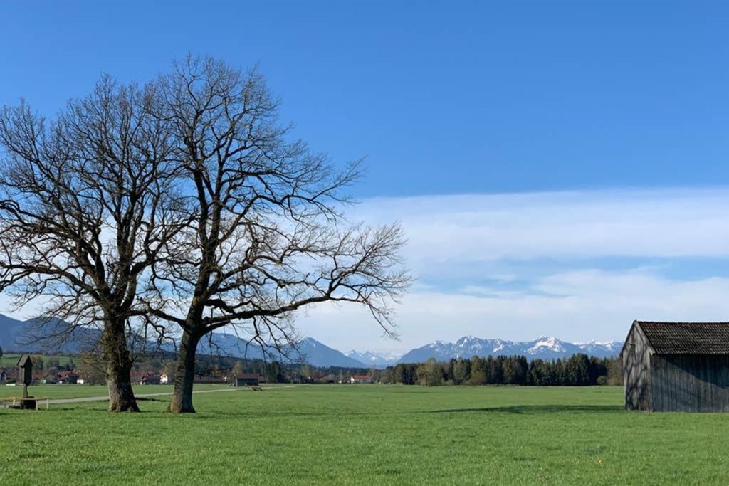 Ferienhaus Koenigsdorf - Urlaub Im Toelzer Land Konigsdorf Eksteriør billede